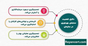 بهره وری چیست