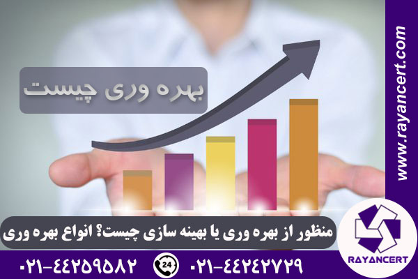 بهره وری در سازمان