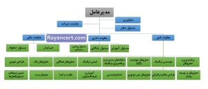 چارت سازمانی شرکت خصوصی